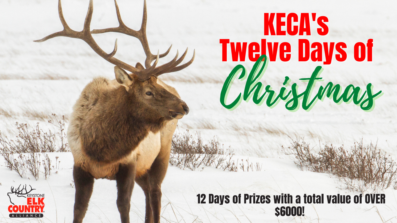 Twelve Days of Christmas