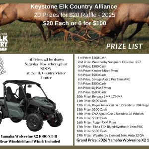 20 for 20 - Single Ticket 2026