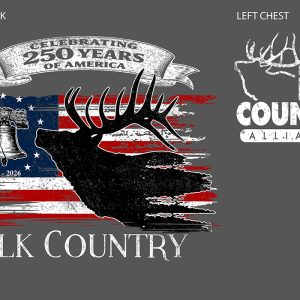 America 250 T-Shirt Gray